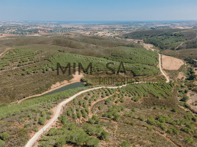 Moradia T6 para Venda em Odiaxere Foto 40