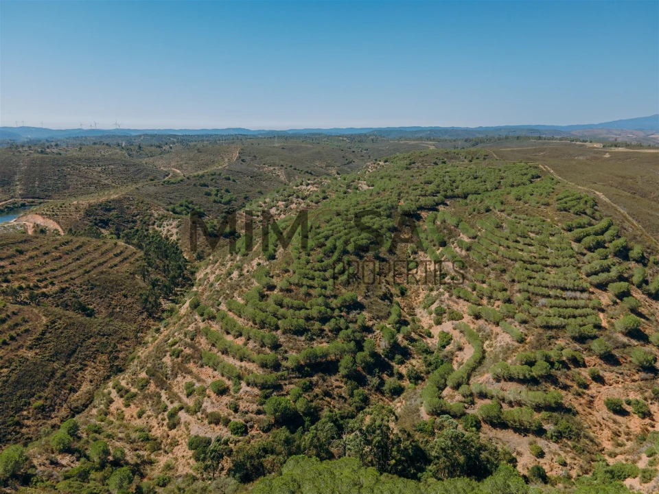 Moradia T6 para Venda em Odiaxere Foto 39