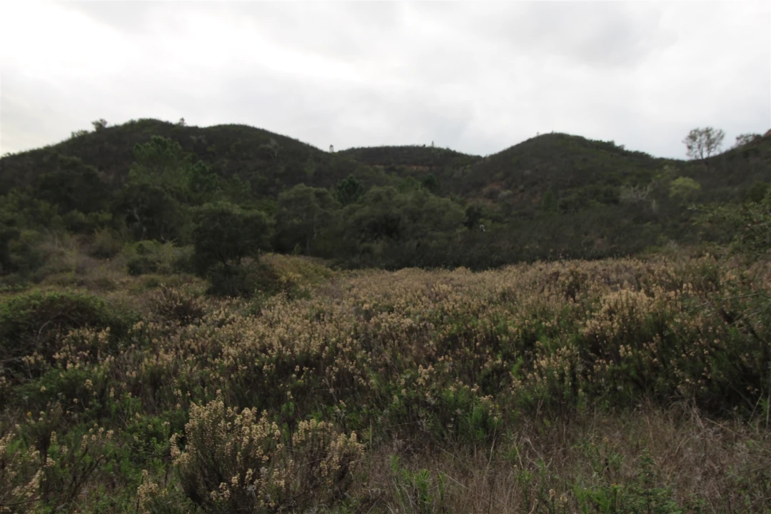 Quinta T0 para Venda em Aljezur Foto 32