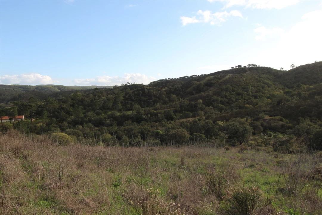 Quinta T0 para Venda em Aljezur Foto 22