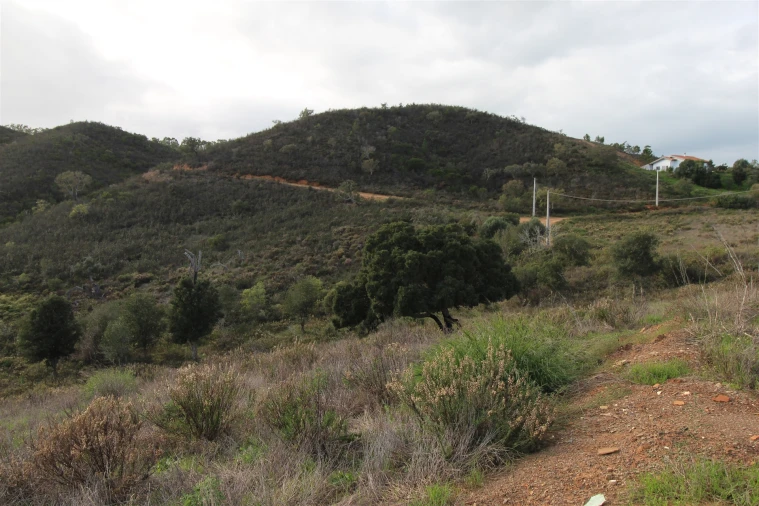 Quinta T0 para Venda em Aljezur Foto 26