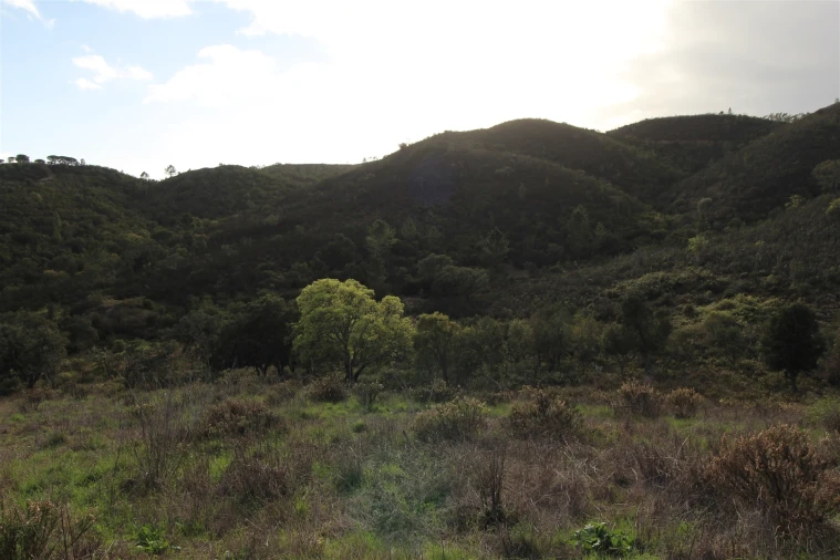 Quinta T0 para Venda em Aljezur Foto 21