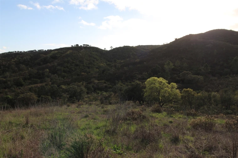 Quinta T0 para Venda em Aljezur Foto 25