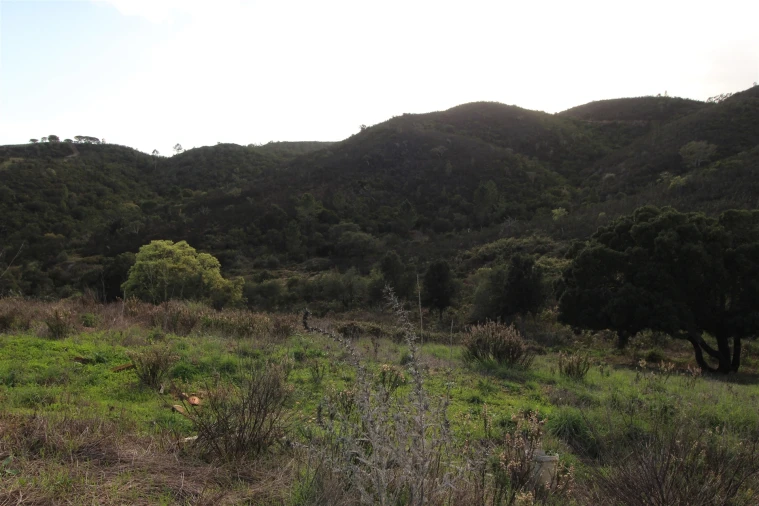 Quinta T0 para Venda em Aljezur Foto 20