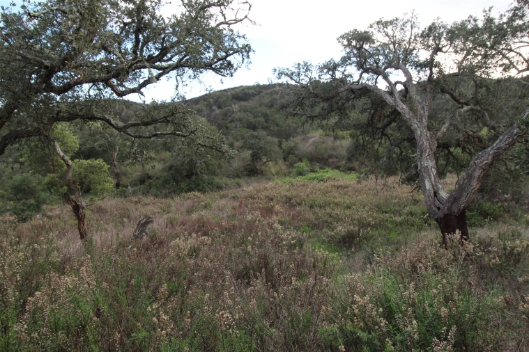 Quinta T0 para Venda em Aljezur Foto 30
