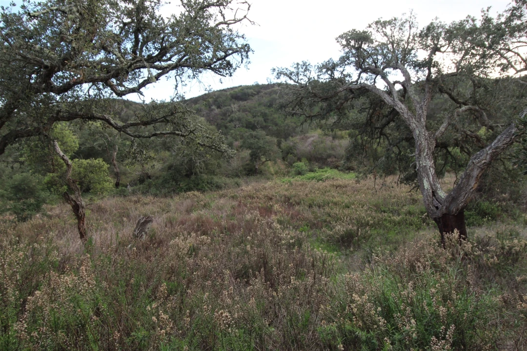 Quinta T0 para Venda em Aljezur Foto 30