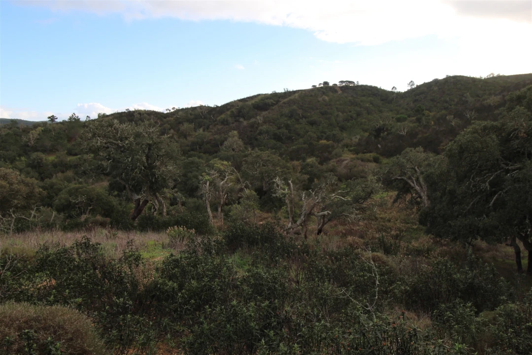 Quinta T0 para Venda em Aljezur Foto 27