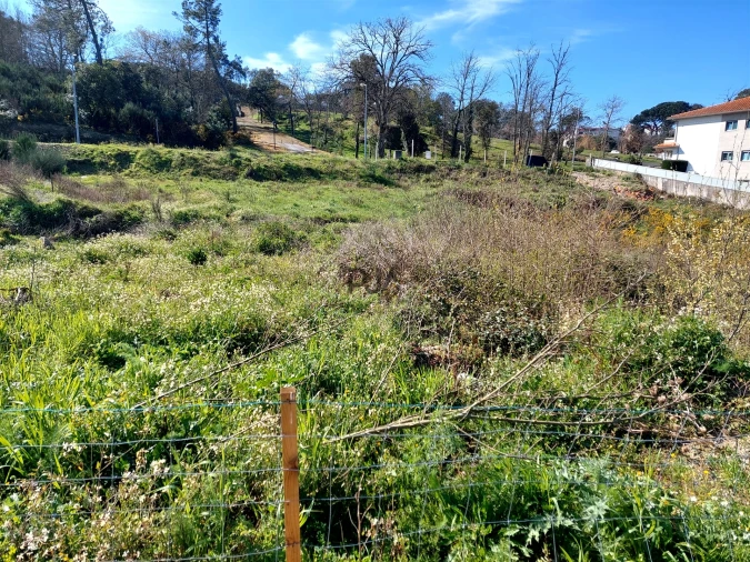 Terreno para Venda em Mangualde, Mesquitela e Cunha Alta Foto 3