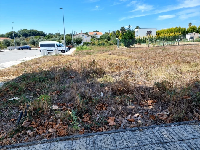 Terreno para Venda em Currelos, Papízios e Sobral Foto 3