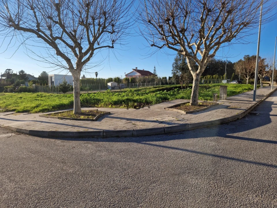 Terreno para Venda em Currelos, Papízios e Sobral Foto 2