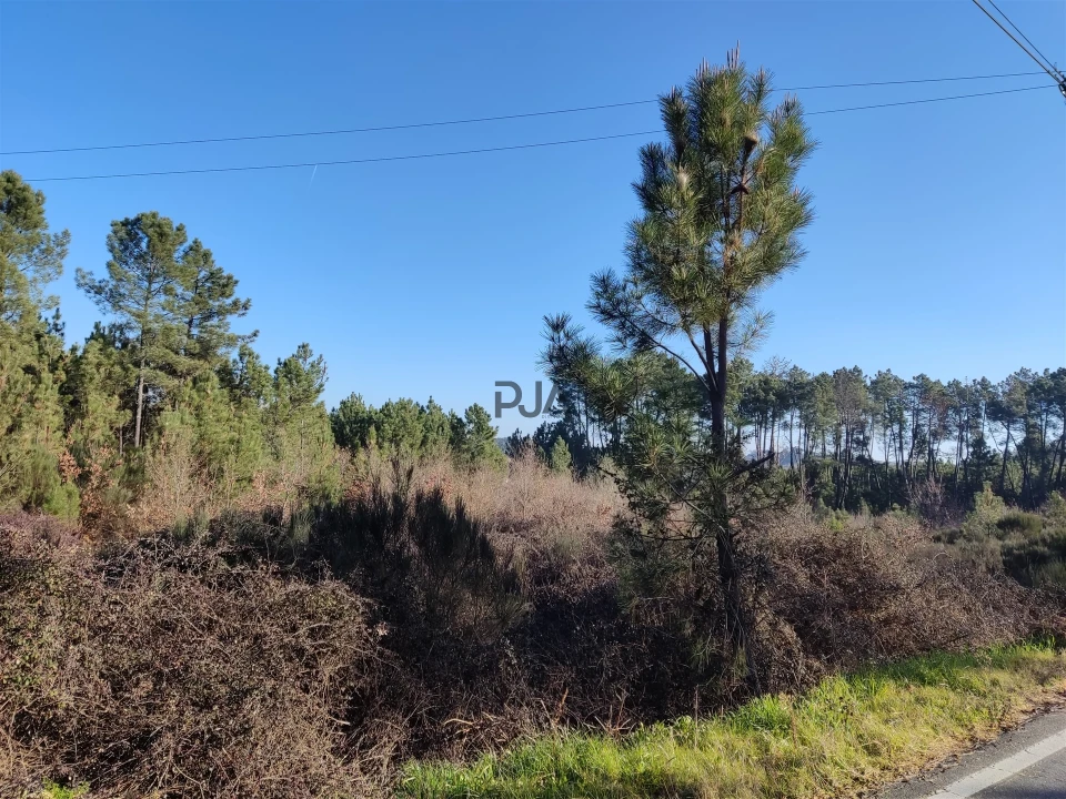 Terreno para Venda em Sezures Foto 2