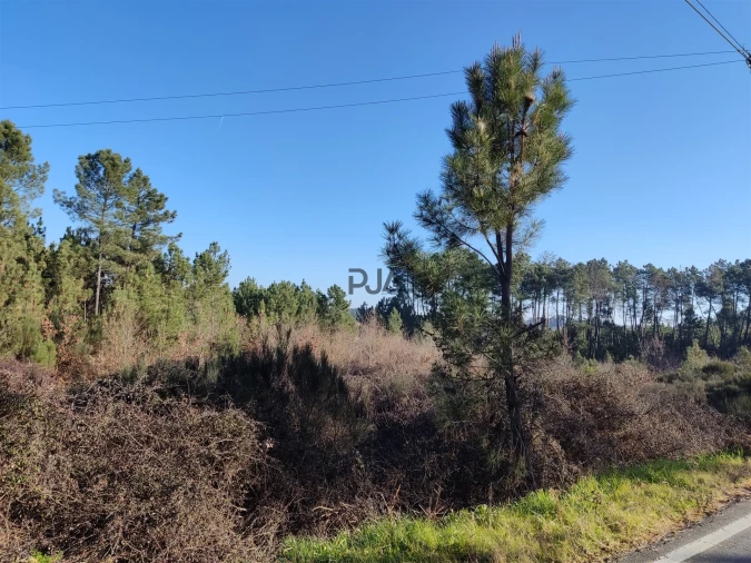 Terreno para Venda em Sezures Foto 2