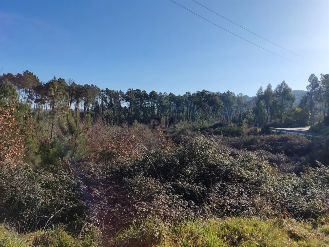 Terreno para Venda em Sezures Foto 3