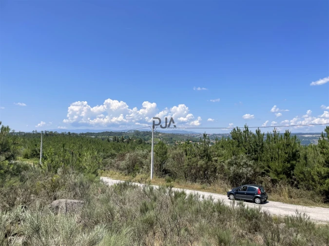 Terreno para Venda em Fornos de Maceira Dão