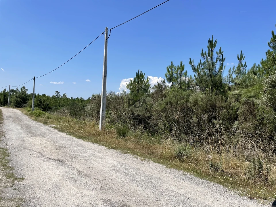 Terreno para Venda em Fornos de Maceira Dão Foto 2