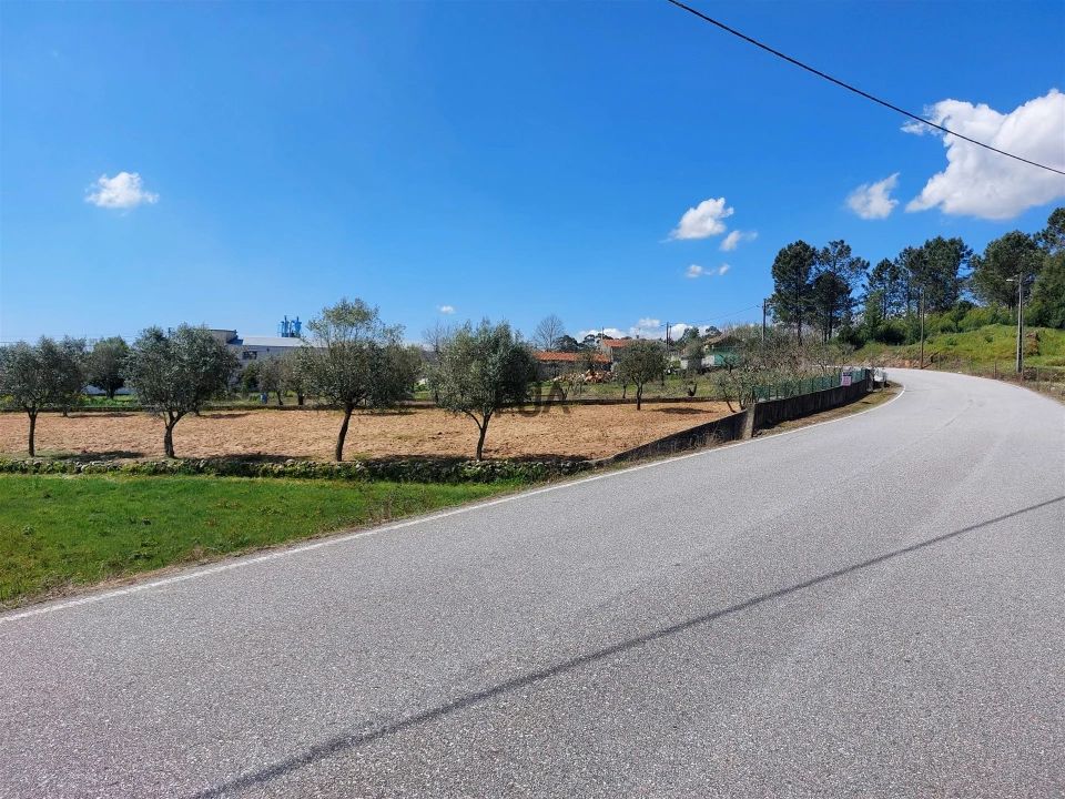 Terreno para Venda em Fornos de Maceira Dão Foto 9