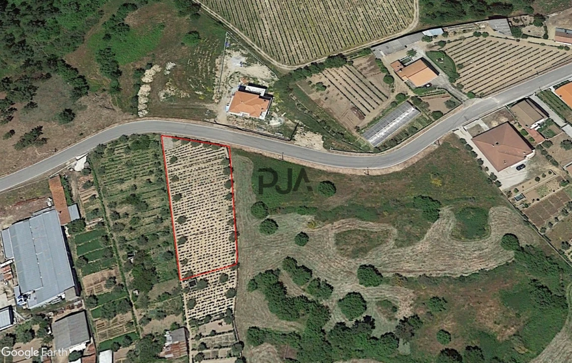 Terreno para Venda em Fornos de Maceira Dão Foto 3