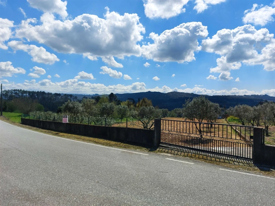 Terreno para Venda em Fornos de Maceira Dão Foto 8