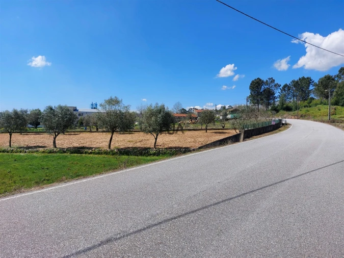 Terreno para Venda em Fornos de Maceira Dão Foto 8