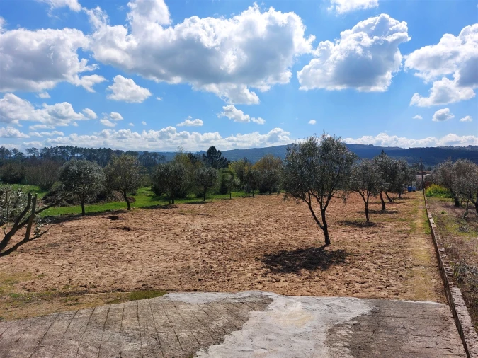 Terreno para Venda em Fornos de Maceira Dão Foto 5