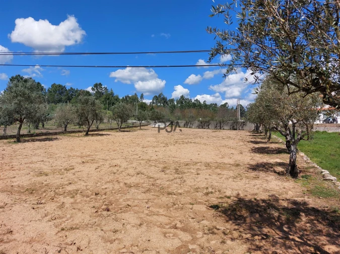 Terreno para Venda em Fornos de Maceira Dão Foto 4