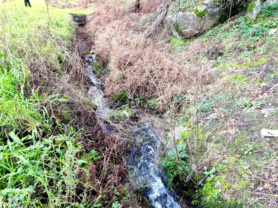 Terreno para Venda em Povolide Foto 4