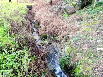 Terreno para Venda em Povolide