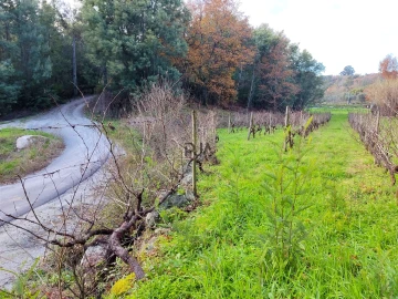 Terreno para Venda em Povolide