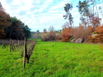 Terreno para Venda em Povolide