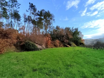 Terreno para Venda em Povolide