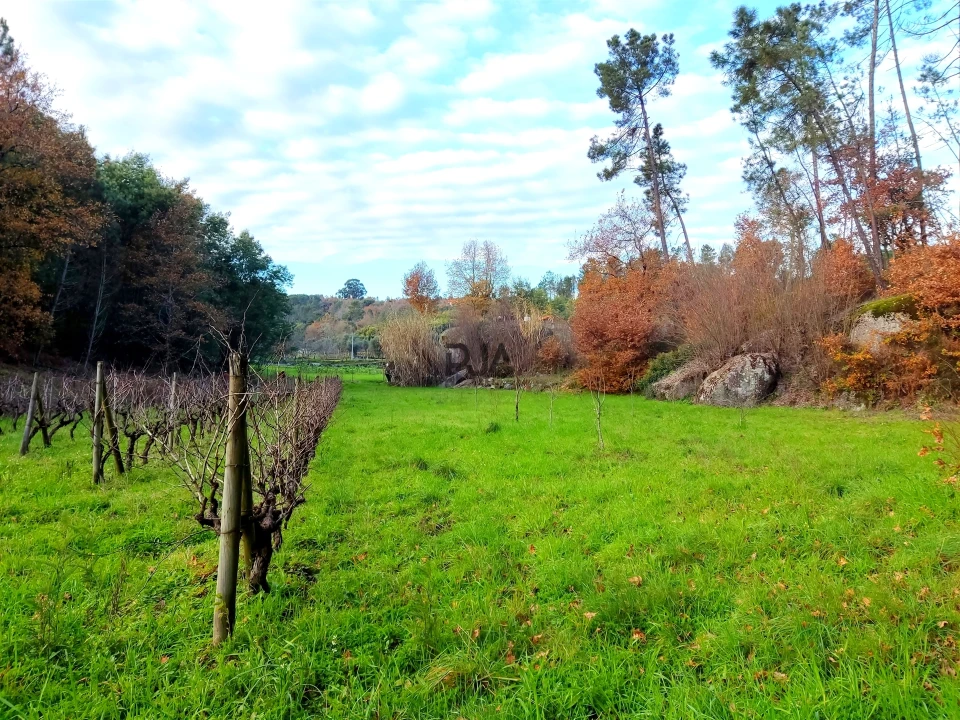 Terreno para Venda em Povolide Foto 2