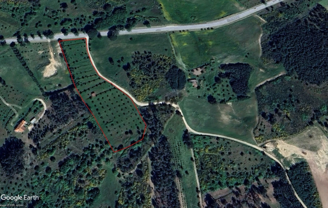 Quinta T0 para Venda em Vila Cortes da Serra Foto 13