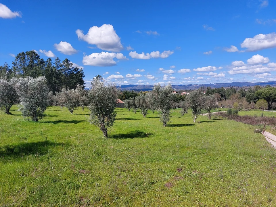 Quinta T0 para Venda em Vila Cortes da Serra Foto 3