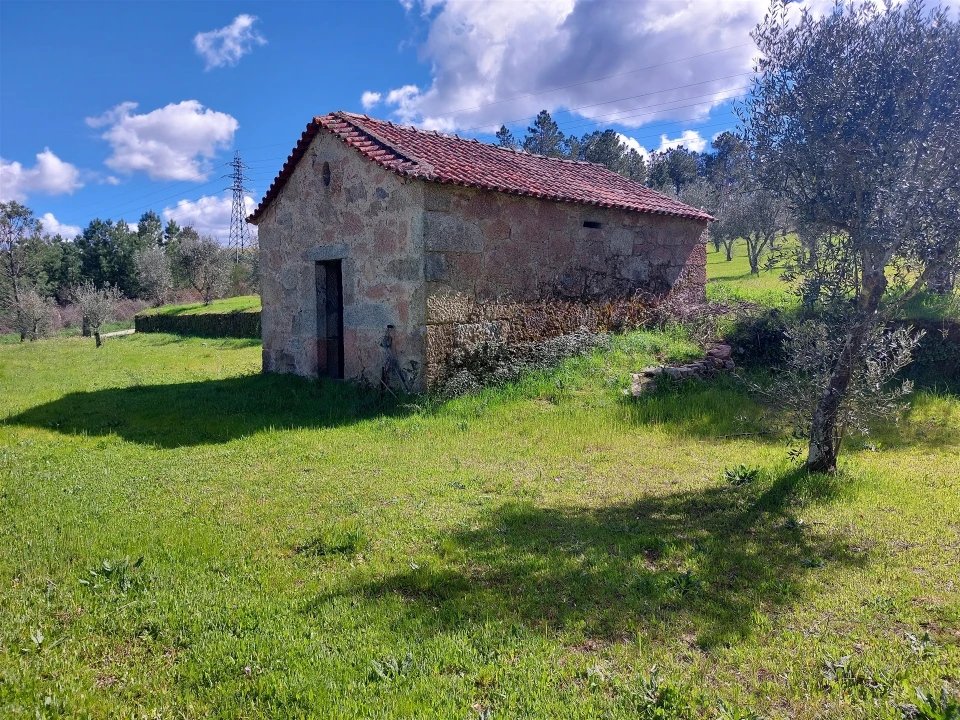 Quinta T0 para Venda em Vila Cortes da Serra Foto 4