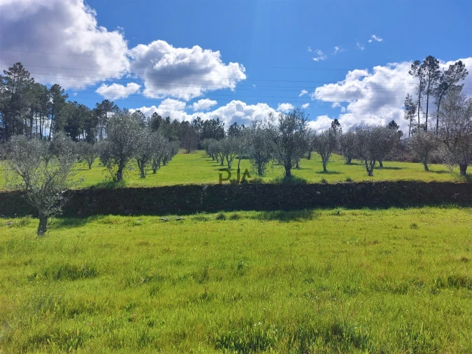 Quinta T0 para Venda em Vila Cortes da Serra Foto 7