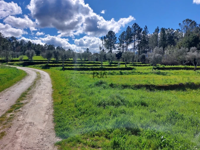 Quinta T0 para Venda em Vila Cortes da Serra Foto 10