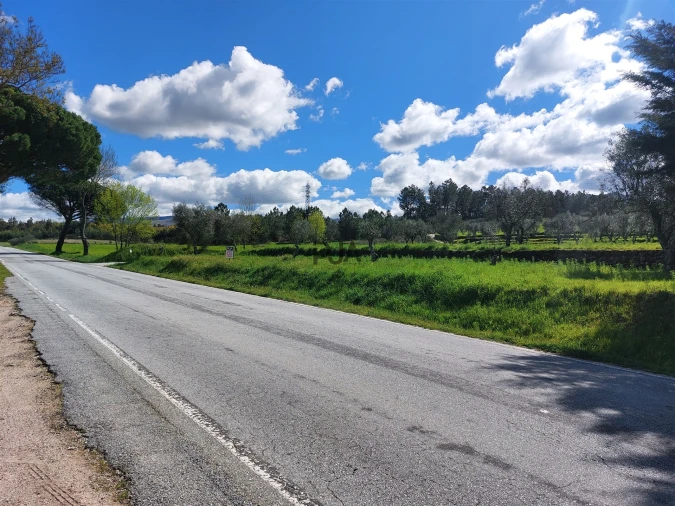 Quinta T0 para Venda em Vila Cortes da Serra Foto 11