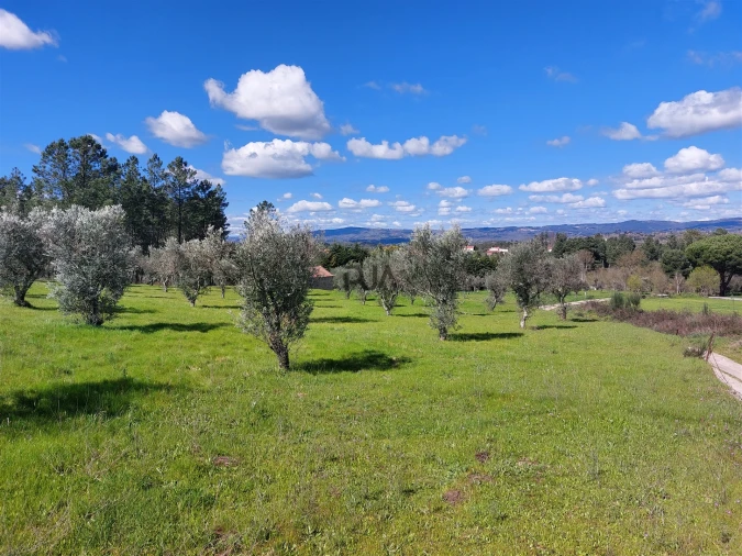 Quinta T0 para Venda em Vila Cortes da Serra Foto 3