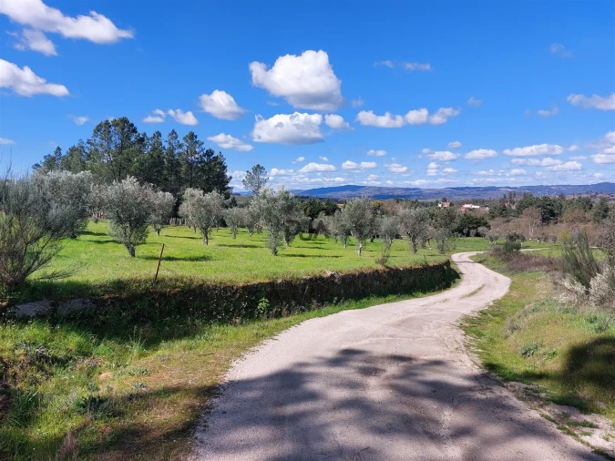 Quinta T0 para Venda em Vila Cortes da Serra Foto 2