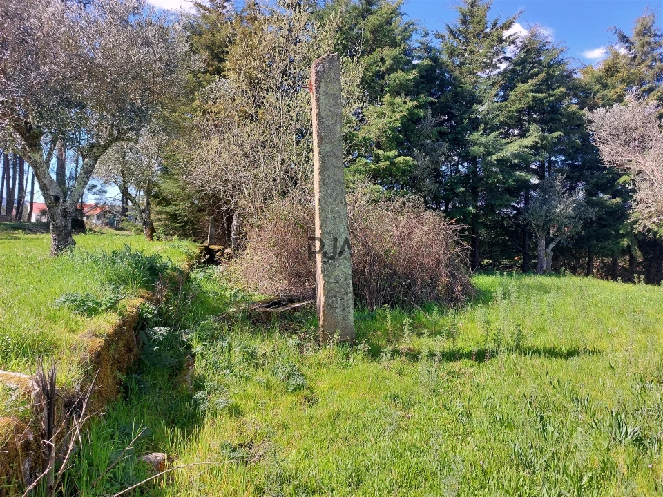 Quinta T0 para Venda em Vila Cortes da Serra Foto 9
