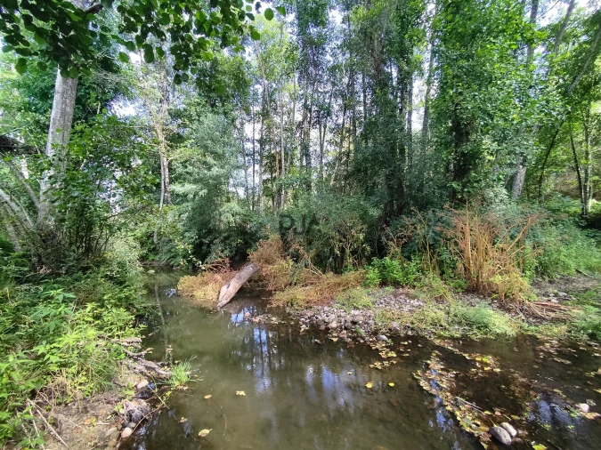 Quinta T0 para Venda em Castelo de Penalva Foto 6