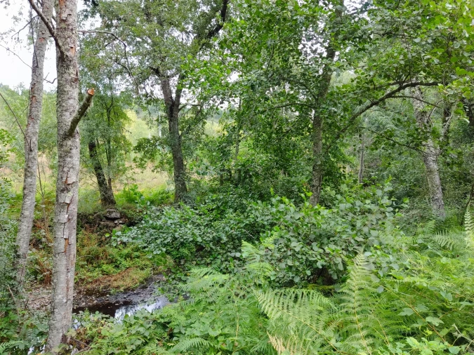 Quinta T0 para Venda em Castelo de Penalva Foto 7