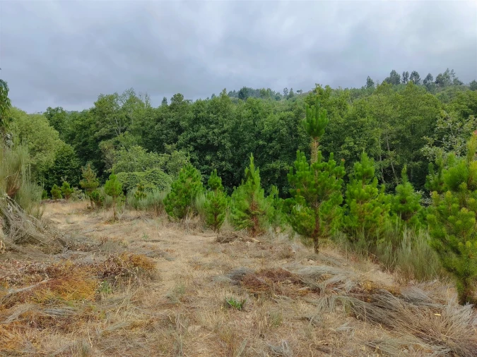 Quinta T0 para Venda em Castelo de Penalva Foto 5