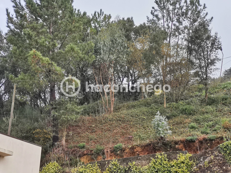 Terreno para Venda em Abade de Neiva Foto 11