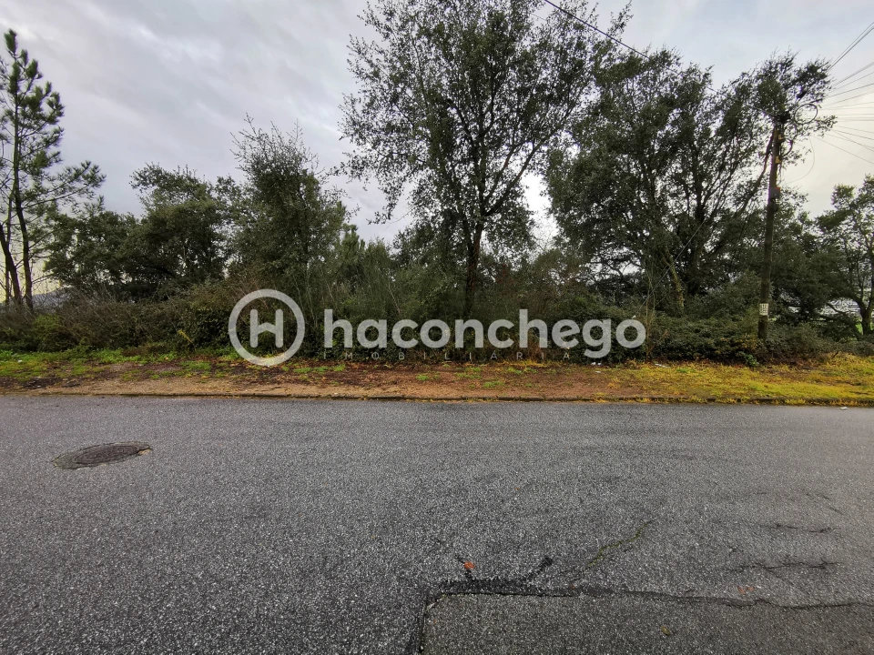 Terreno para Venda em Abade de Neiva Foto 1