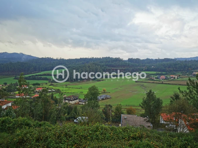 Terreno para Venda em Abade de Neiva Foto 2