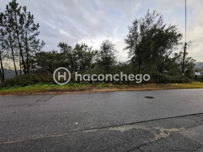 Terreno para Venda em Abade de Neiva Foto 5