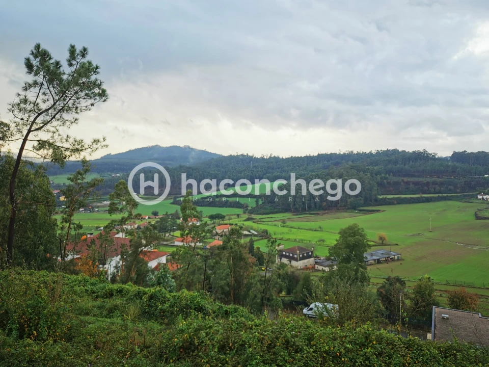 Terreno para Venda em Abade de Neiva Foto 3