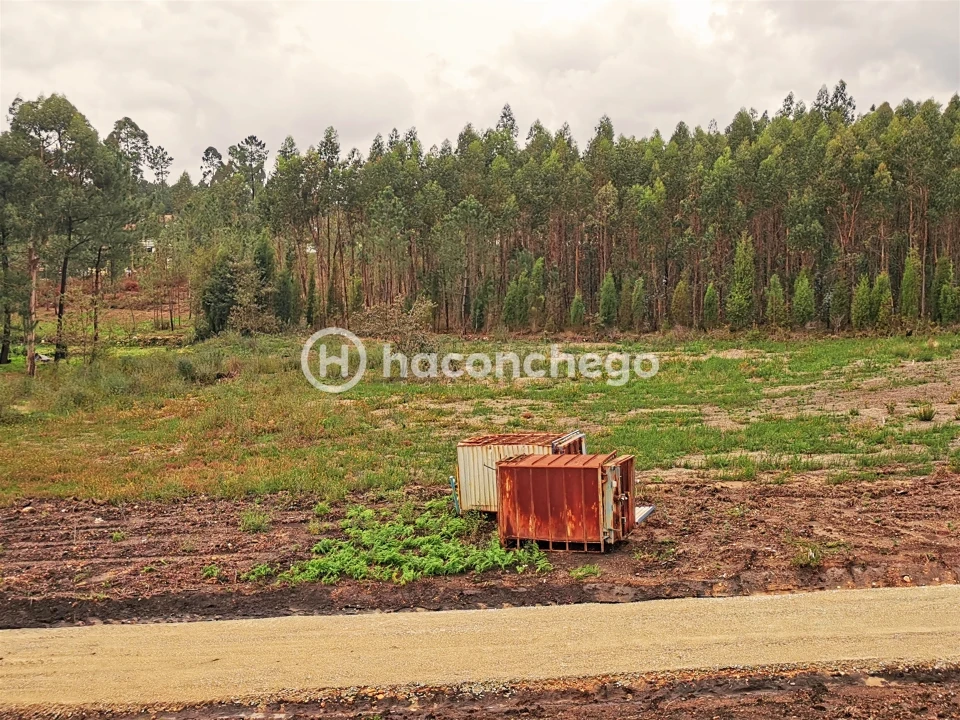 Terreno para Venda em Cervães Foto 9