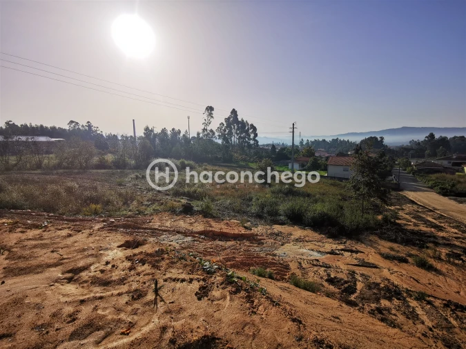 Terreno para Venda em Cervães Foto 2